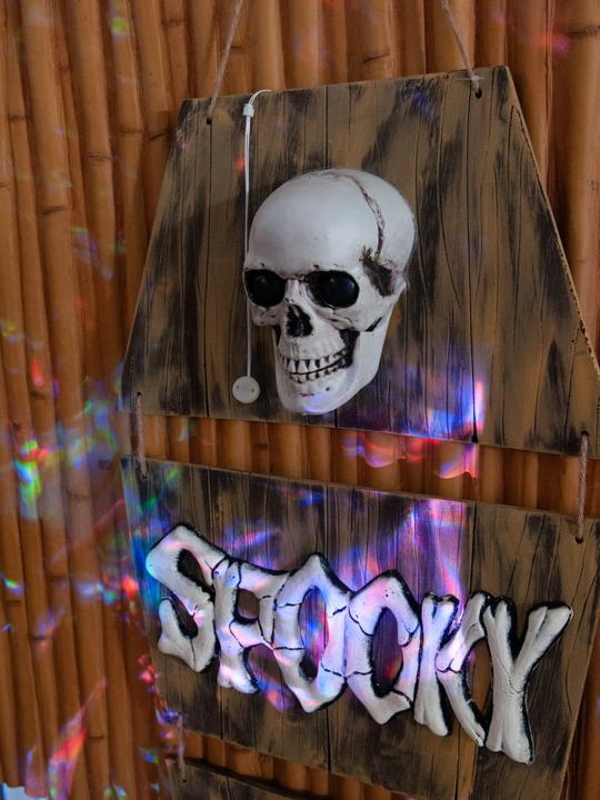 Immagine prodotto Europalms Bara fantasma di Halloween, animata 150 cm