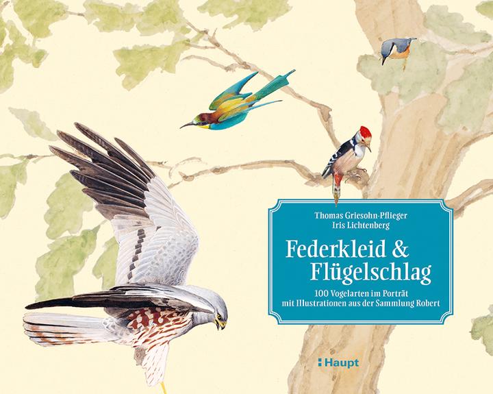 Produktbild Federkleid & Flügelschlag (Deutsch, Thomas Griesohn-Pflieger, 2020)