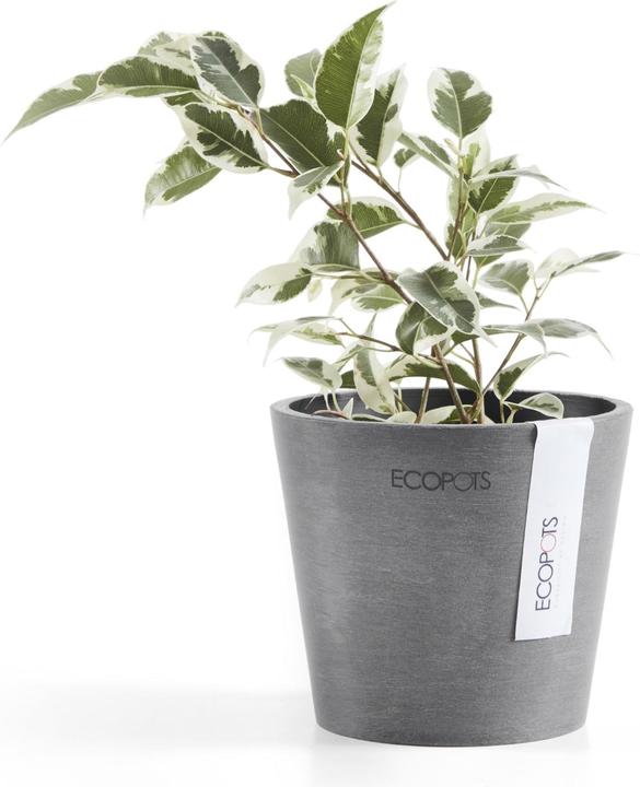 Produktbild Ecopots Amsterdam Mini (10.50 cm)