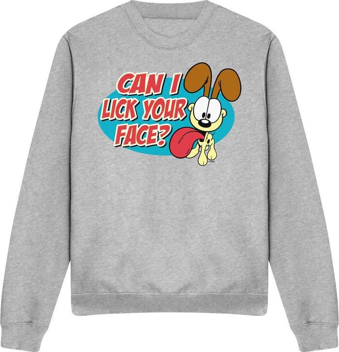 Garfield Question Sweatshirt