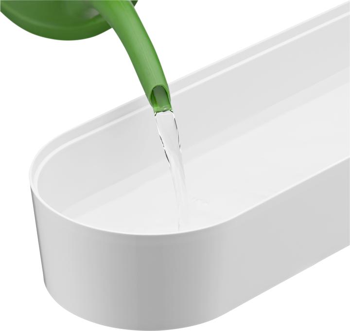 Actual product image WMF herb garden (14 cm)