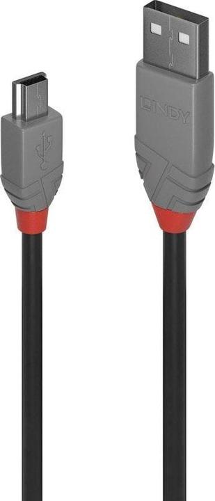 Image du produit Lindy USB/A-MiniB M-M (5 m, USB 2.0)