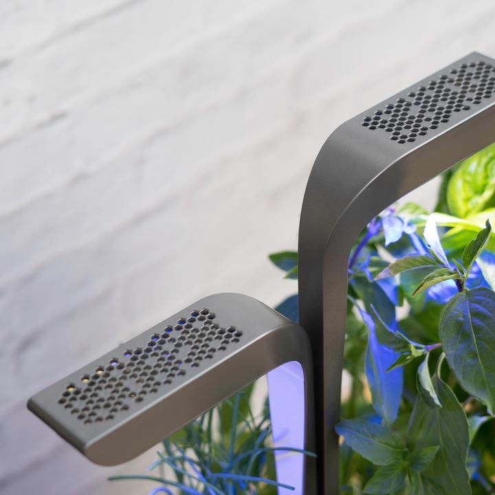 Actual product image Véritable Connect Indoor Garden (18 cm)