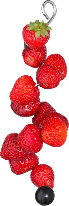 Actual product image WMF Fruit skewers