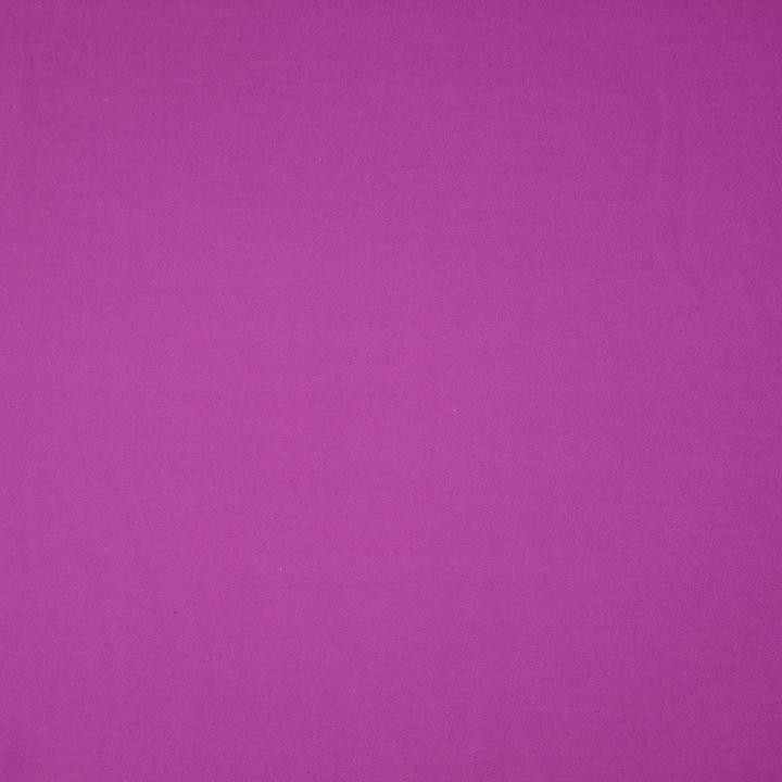 Pflaumen Violett