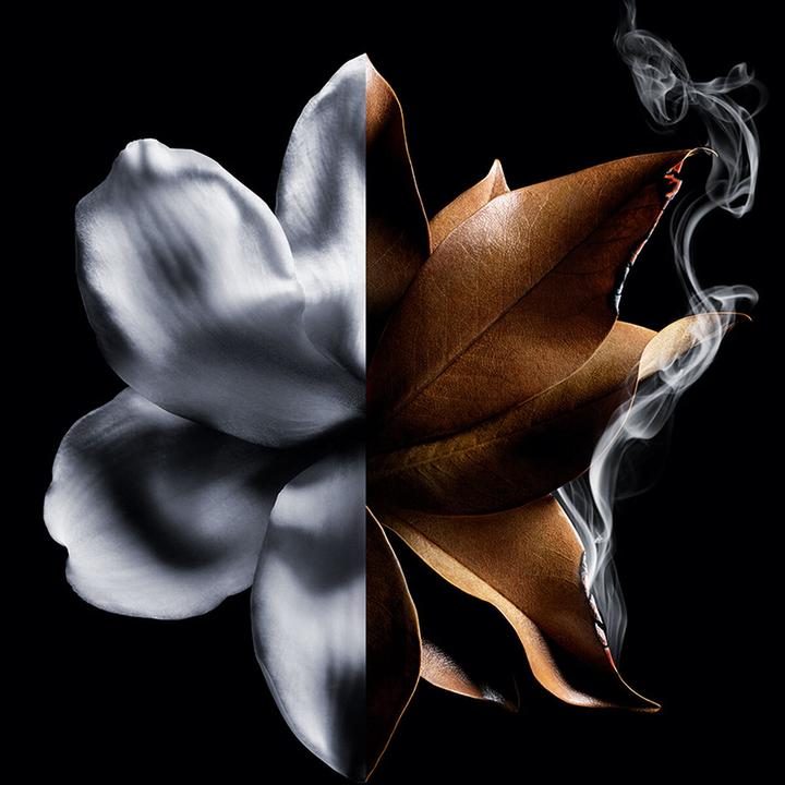 Produktbild Givenchy L’Interdit Absolu (Eau de Parfum, 80 ml)
