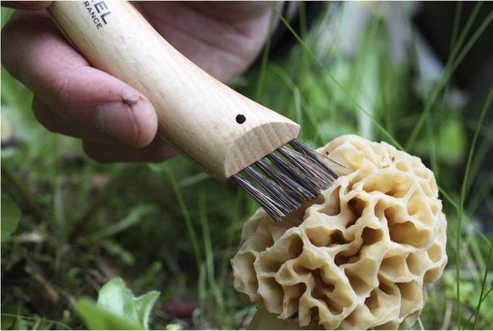 Immagine prodotto Opinel N. 8 (7 cm)