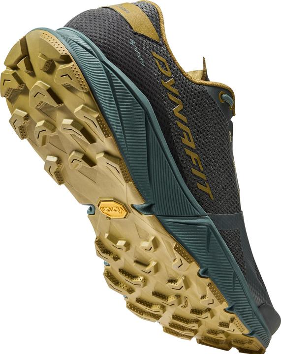 Produktbild Dynafit Ultra 100 GTX Laufschuh (44.5)