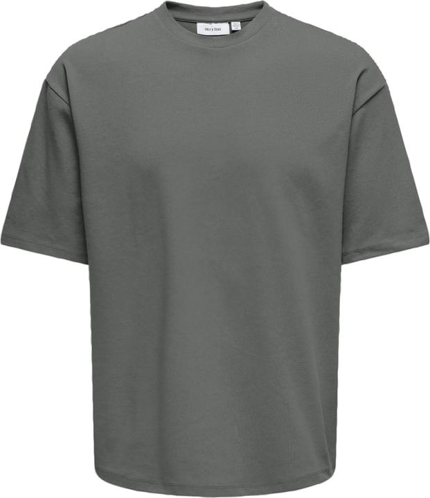 Gris Castor Gray