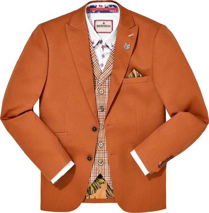 Produktbild Joe Browns Terracotta Blazer (48)