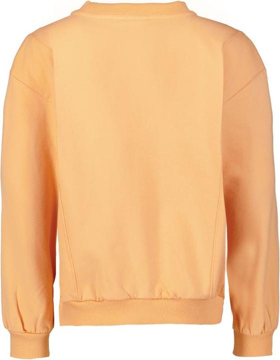 Produktbild Garcia Pullover Playground (116, 122, 120 B)