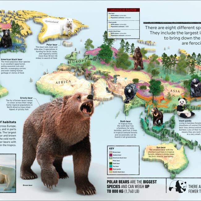 Image du produit What's Where on Earth? Animal Atlas (Anglais, Dorling Kindersley Ltd., 2021)