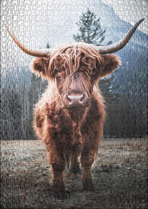Image du produit Ulmer Puzzleschmiede Puzzle animaux?Hochland? (1000 pcs) (1000 pièces)