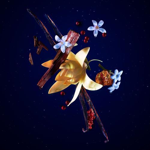 Immagine prodotto Thierry Mugler Angel Elixir Eau de Parfum Eco ricarica (Eau de parfum, 100 ml)