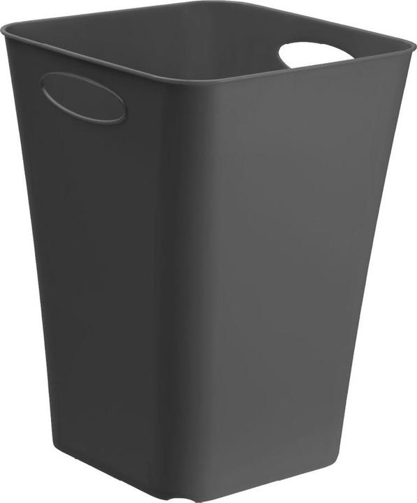 Actual product image Rotho Living Box (29.5 x 39.5 x 29.5 cm, 23 l)