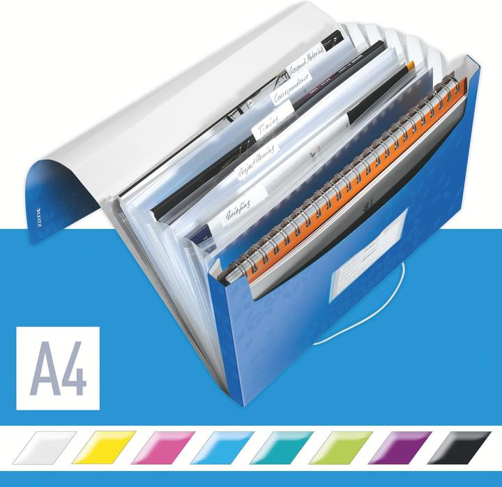 Actual product image Leitz WOW - Project folders (A4, 1 x)