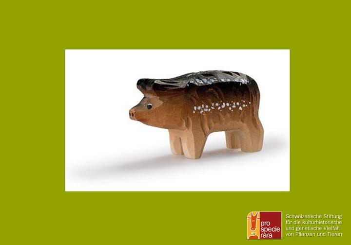 Actual product image Trauffer Wool Pig Piglet
