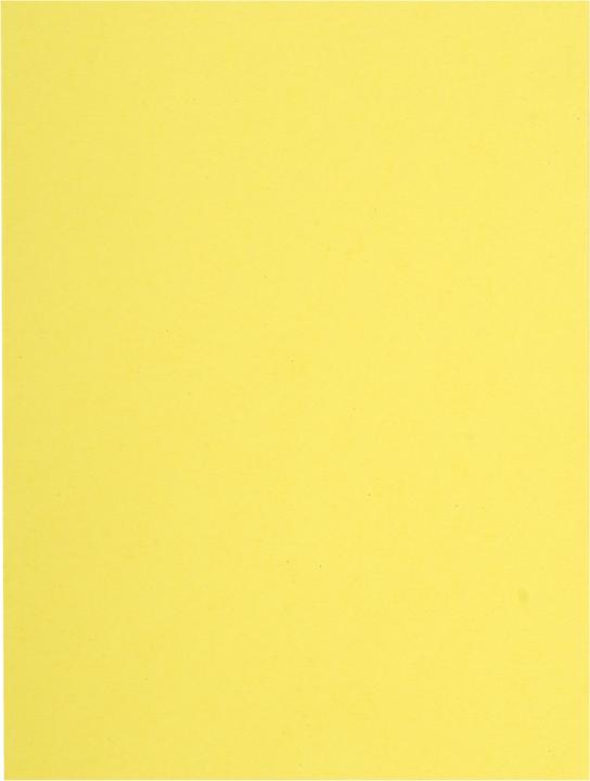 Immagine prodotto Exacompta Sammelmappen (A4, 100 x)