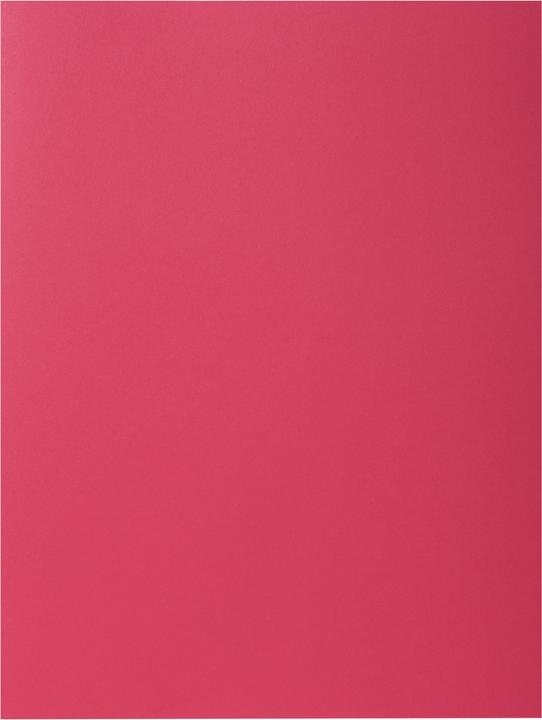 Produktbild Exacompta Sammelmappen - Aktendeckel (A4, 100 x)