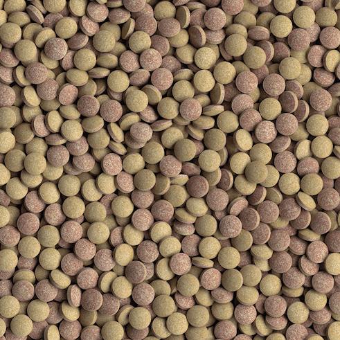 Produktbild Tetra TabiMin (Bodenfische)
