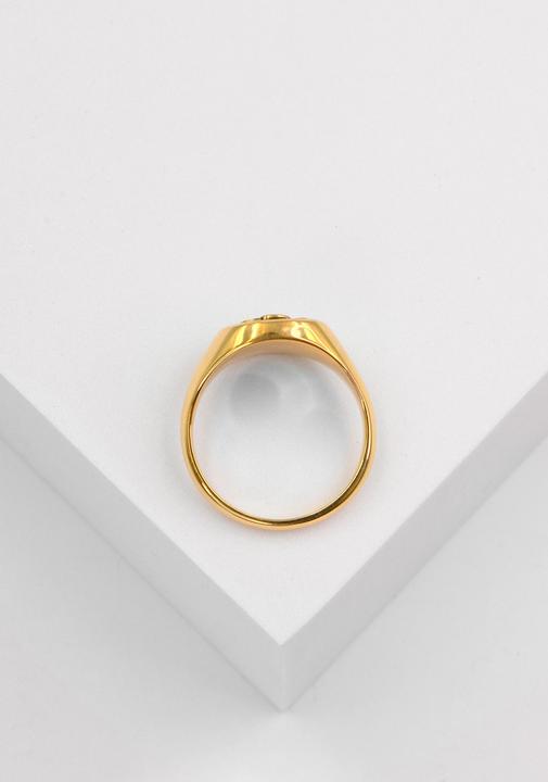 Produktbild Muau Wappenring (63, 750/18 K Gold)