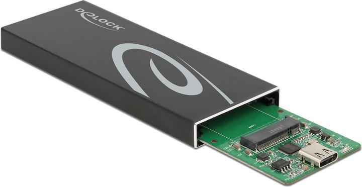 Delock Custodia esterna per SSD M.2 SATA con presa USB Type-C (M.2)