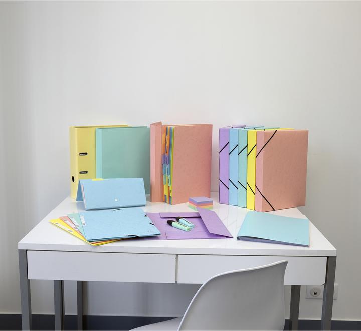 Actual product image Exacompta Ring binders (A4, 25 mm, 1 Piece)