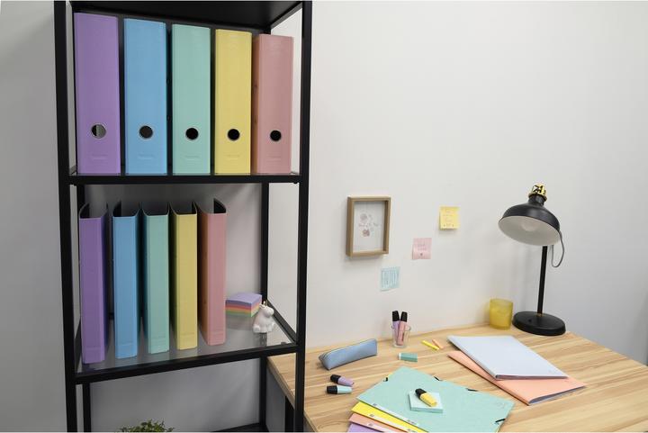 Actual product image Exacompta Ring binders (A4, 25 mm, 1 Piece)
