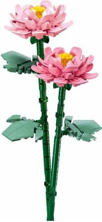 Image du produit Sluban SL96109 - Pivoine dans un vase