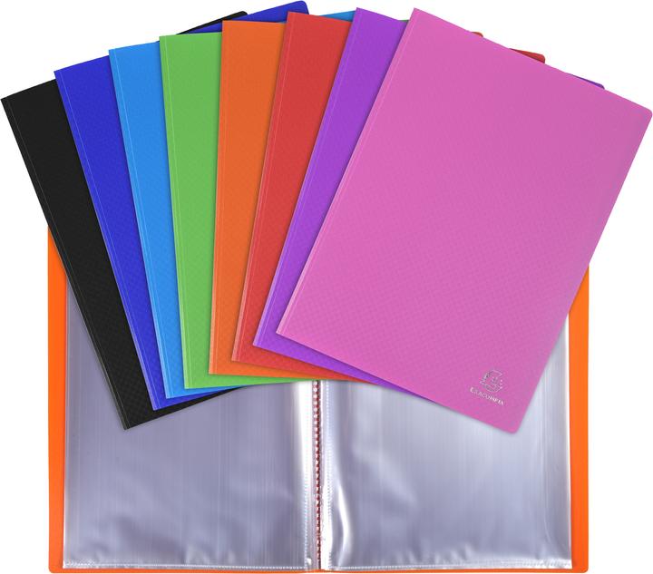 Exacompta Display folders (A4, 1 x)