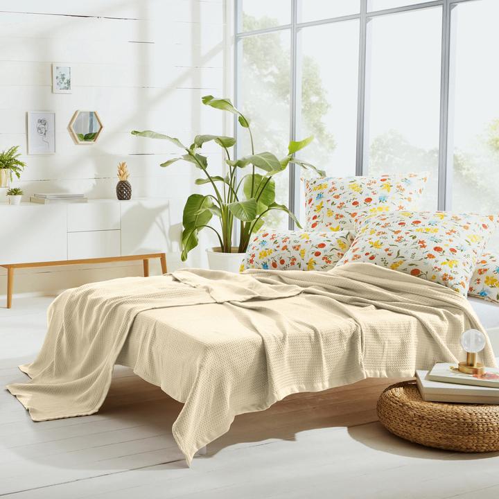 Produktbild Erwin Müller Sommer-Decke (220 x 240 cm)