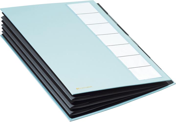 Actual product image Exacompta Ordnungsmappe (A4, 1 x)