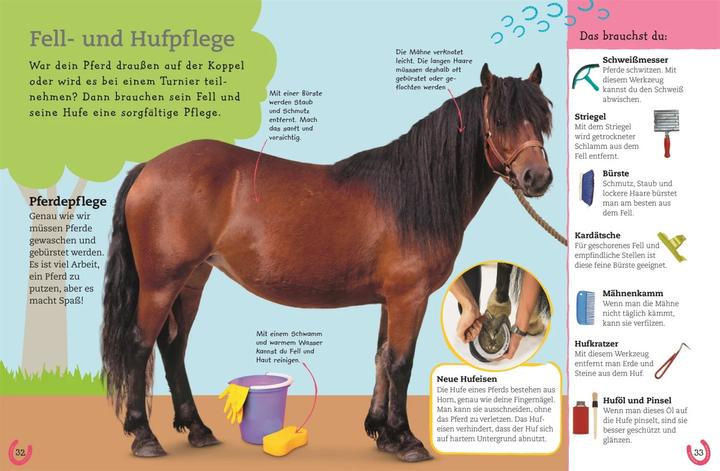 Produktbild Pferde und Ponys (Deutsch, DK Verlag - Kids, 2019)