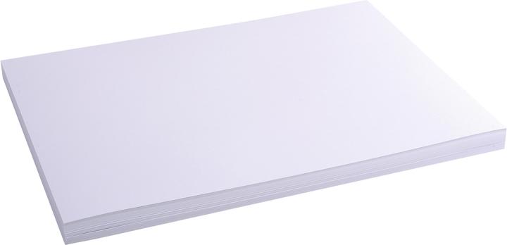 Immagine prodotto Exacompta Schede di valutazione (A3, 205 g/m², 100 x)