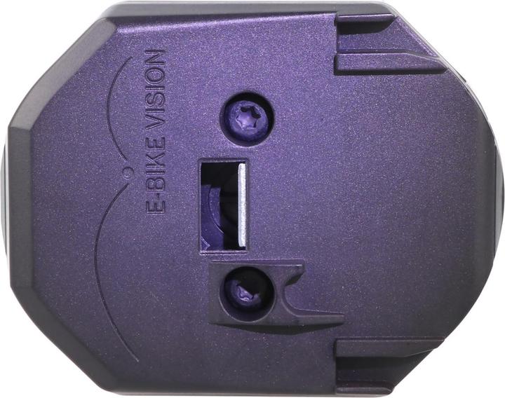 Produktbild E-Bike-Vision Akku Bosch Active (Plus) / Performance (CX) Intube vertikal (461 Wh, E-Bike Akku)
