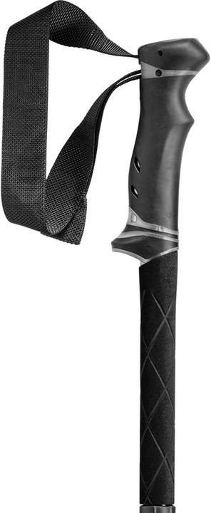 Actual product image Leki Legacy FX TA (110 - 130 cm)