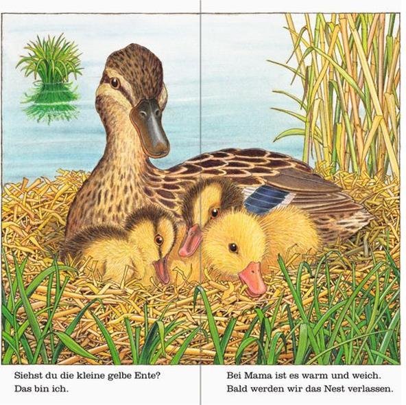 Immagine prodotto Ravensburger Ich bin die kleine Ente (Tedesco, Chiave per elmut, 2016)