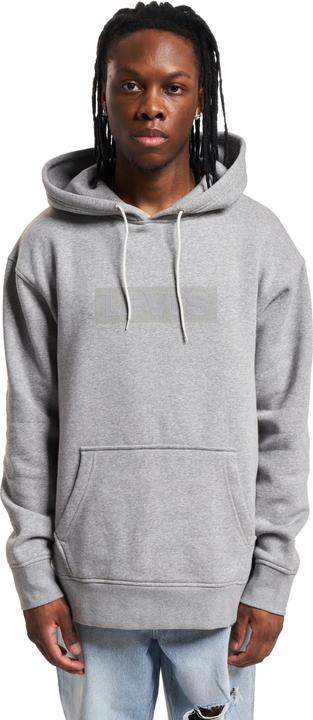 Actual product image Levis Relaxed Graphic Hoodie - 127125 (M)