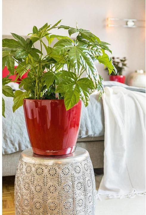 Produktbild Lechuza Classico (28.50 cm)