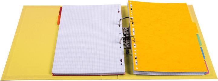 Actual product image Exacompta Ordner (A4, 50 mm, 1 Piece)