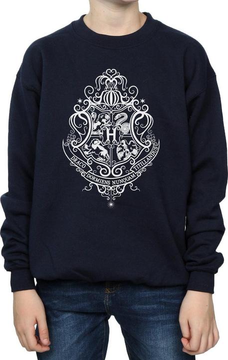 Immagine prodotto Hogwarts Draco Dormiens Crest Felpa Ragazzi (116)