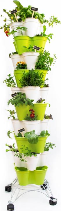 Actual product image Hexagro Poty Kit L Smart Gardening