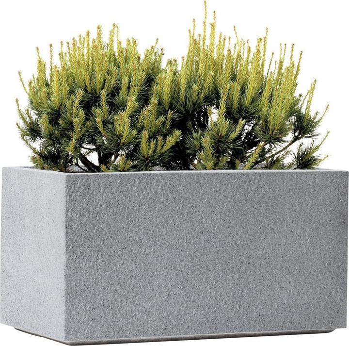 Image du produit Kirschke Rockline (31 cm)