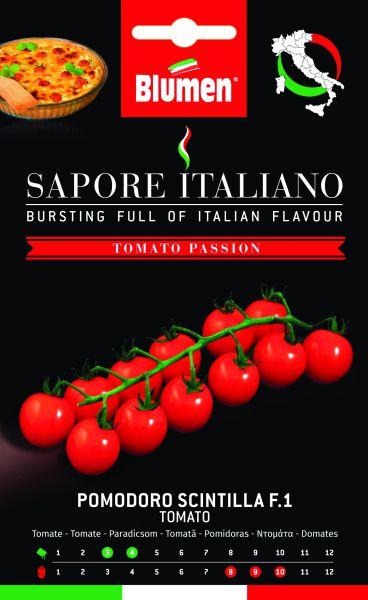 Produktbild Blumen Tomate Scintilla F1 (Gemüsesamen)