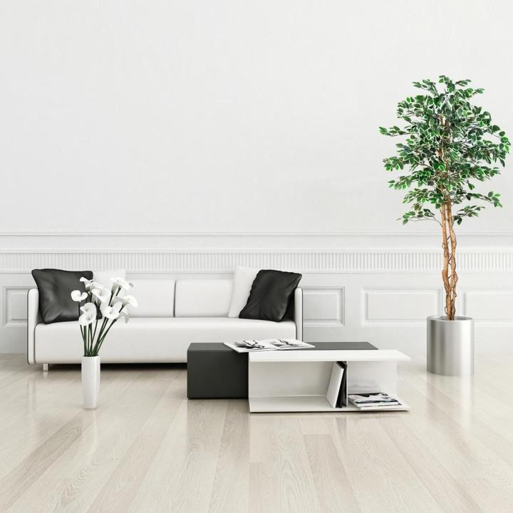Produktbild Plantasia Ficus Benjamin (190 cm)