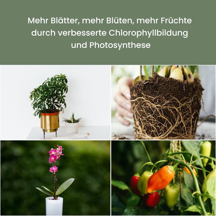 Image du produit Colibri SUNLiTE blanc (LED, 230 V)