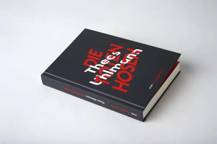 Actual product image Thees Uhlmann über Die Toten Hosen (German, Thees Uhlmann, 2019)