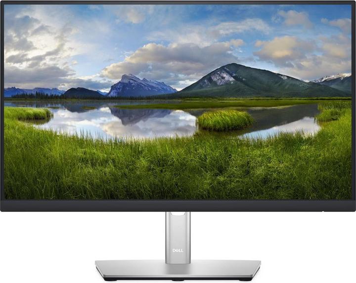 Immagine prodotto Dell P2222H (1920 x 1080 pixel, 21.50")