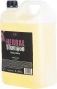 Actual product image Postquam herbal shampoo (5000 ml.) (5000 ml)