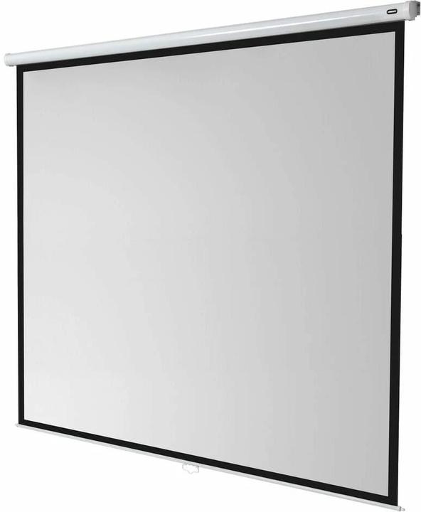 Image du produit Celexon Rollo Economy, toile, 1:1 (167", 1:1)